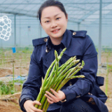 我在田埂画方圆⑤丨钟瑛：麻布山下，造一卷田园诗