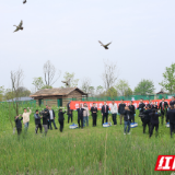 “飞”常治愈！岳阳举行第45个“爱鸟周”活动，放飞康复候鸟