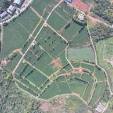 鹅形山问茶①|踏遍七省寻种,黄厚仁与铁香茶的岁月长歌