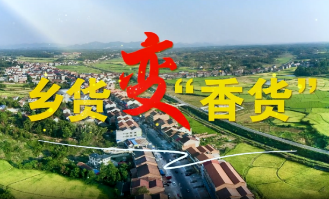视频丨与理有岳·新思想青年说（第三辑）第九期：“乡货”变“香货”