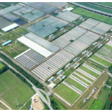 三十而立筑根基 规范赋能促振兴——君山区以农垦农用地规范管理献礼建区三十周年