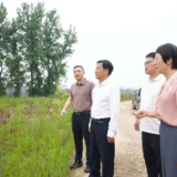 李挚督导生态环境保护工作