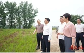 李挚督导生态环境保护工作