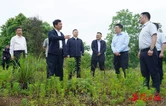 李挚以明察暗访方式督导防汛备汛、安全生产等工作