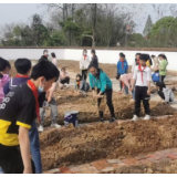 湘阴县古塘中学:劳动种植结硕果,食堂焕新促劳育