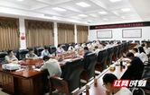 君山区柳林洲城乡融合发展规划方案汇报会暨工作调度会召开