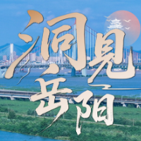 洞见岳阳丨汇聚青春力量,共绘岳阳高质量发展新图景
