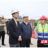陈淼调研君山区重点项目建设工作