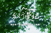 乡行“曼”记丨微视频：筻口镇奶奶们的“茶叙”