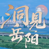 洞见岳阳丨品牌与项目“双轮驱动”——解码岳阳楼区“走在前、作示范”的进阶逻辑