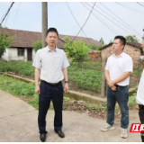 陈淼调研钱粮湖镇重点工作
