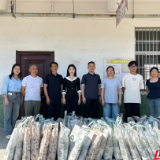 政企同心护童心 汨罗市大荆镇“六一”慰问背后的深层暖意