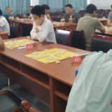湘阴县、汨罗市、屈原管理区“和美乡村·象棋村超”邀请赛圆满收官