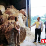 李佳谕督导许市镇秸秆收储点建设问题整改工作