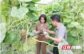 李佳谕调研君山区产业项目