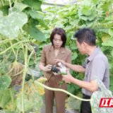 李佳谕调研君山区产业项目