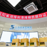 让辣椒"说话":阳雀湖樟树港辣椒DTC数据存证正式启用