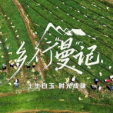 乡行“曼”记丨微视频：土生白玉，时光成味
