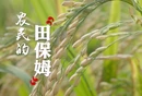 视频丨与理有岳·新思想青年说（第三辑）第十九期：农民的“田保姆”