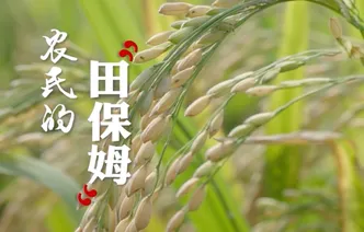 视频丨与理有岳·新思想青年说（第三辑）第十九期：农民的“田保姆”