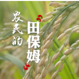 视频丨与理有岳·新思想青年说(第三辑)第十九期:农民的“田保姆”