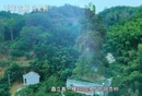 视频丨与理有岳·新思想青年说（第三辑）第二十期：银杏树下的故事