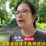 探访湖南省级骨干教师培训现场③丨邵阳市教育科学研究院小学数学教研员曾毅:让学数学不再靠刷题,从教学生解题转向解决问题