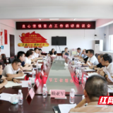陈淼调研良心堡镇重点工作