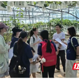 乡村深耕察实况 青春聚力助振兴——湖南师范大学法学院实践团赴君山柳林洲街道调研