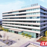 临港“新”声丨项目不用再等“终点哨” 等待时间变成产值