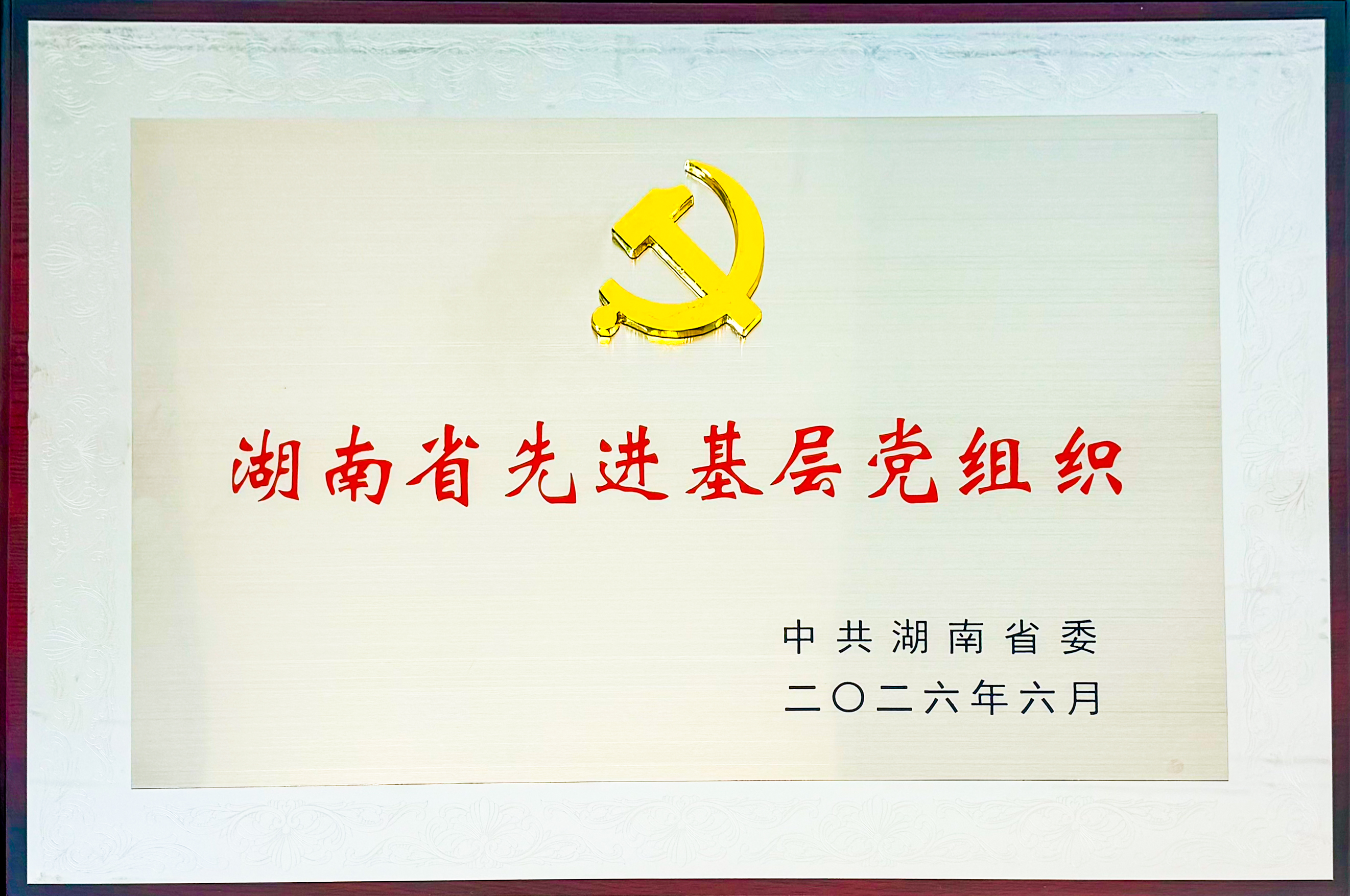 微信图片_2026-07-02_161758_455.jpg 微信图片_2026-07-02_161758_455.jpg