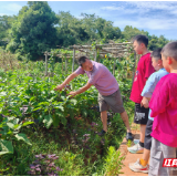 岳阳高速:收费站里的一则通知,藏着“人心刻度”