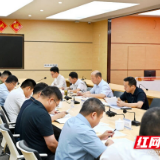 岳阳临港高新区区召开重大项目推进会