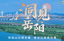洞见岳阳丨以观鸟经济破题，蹚出生态价值转化新路径