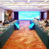香港高校深圳研究院与湖南岳阳产教融合座谈交流会召开