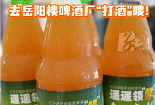 视频丨最快十分钟直达餐桌!去岳阳楼啤酒厂“打酒”喽