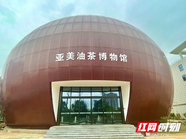 全国最大油茶果型油茶博物馆在湖南攸县开馆