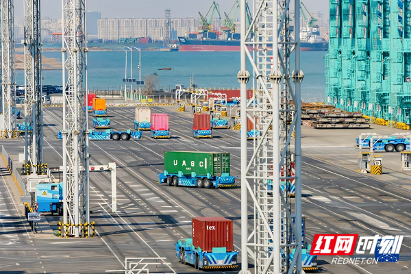 智能水平运输机器人在天津港全物联网集装箱码头作业。（图片来源：新华社）.png