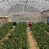 湘阴:“小车间”发挥扶贫“大作用”