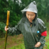 湘阴鹤龙湖镇：绽放在一线防洪大堤的“铿锵玫瑰”