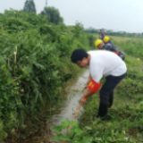 暴雨中的坚守！伏振庭带伤防汛的第11天