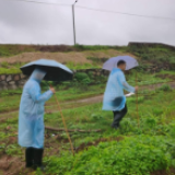 汨罗：全力以赴迎战新一轮强降雨