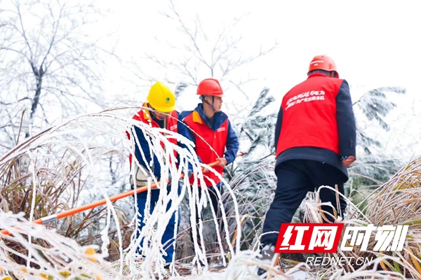 12月1日，国网岳阳县供电公司毛田供电所东方红（电骆驼）共产党员服务队在大云山国家森林公园，针对易覆冰重点线路开展特巡，并使用监测装置查看电网设备及线路覆冰情况。