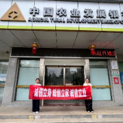 中国农业发展银行岳阳县支行开展诚信宣传月活动