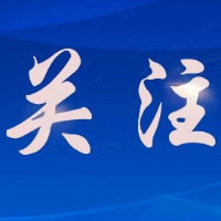 “鸽声”嘹亮 奏响乡村振兴新乐章