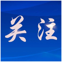 屈原税务分局：深入调研问需企业，精准滴灌政策红利