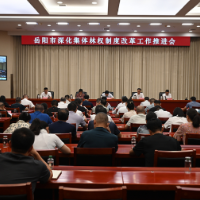 岳阳市召开深化集体林权制度改革工作推进会