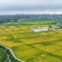 朱平波：以五个“汨码”打造国家首批乡村振兴示范样板