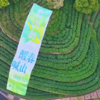 2026君山银针开茶节暨茶岛游活动盛大启幕