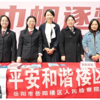 岳阳楼区人民检察院开展“三八”维权周普法宣传